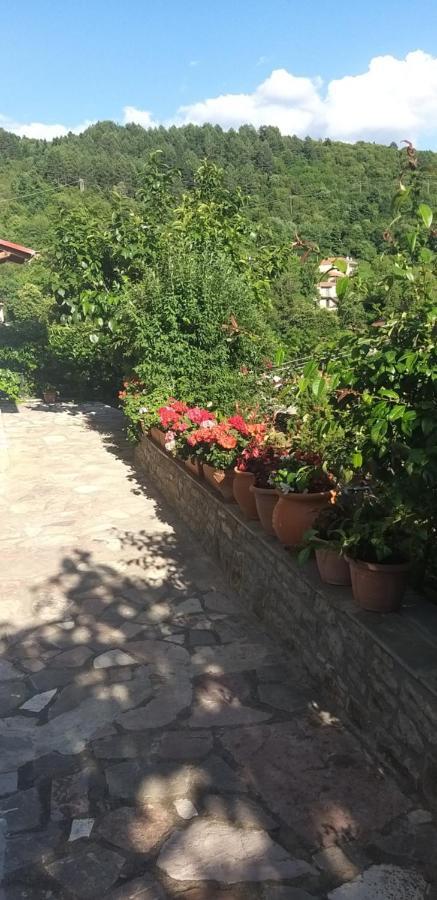카페니시온 Το Σπίτι Της Ευτυχίας Σουίτα 아파트 외부 사진